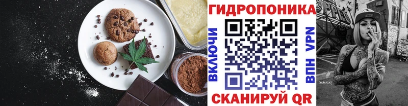 закладка  Еманжелинск  Canna-Cookies конопля 
