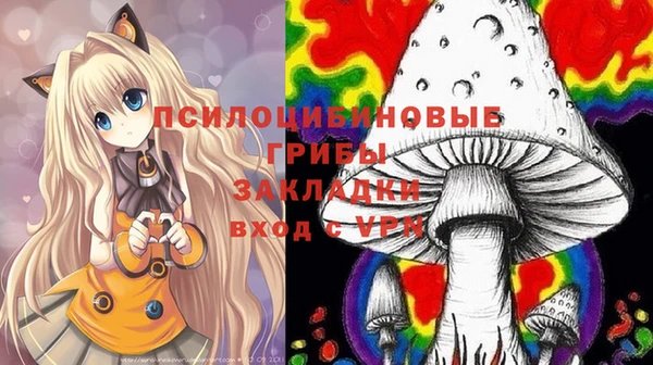 СК Белокуриха
